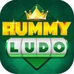 Rummy Ludo New